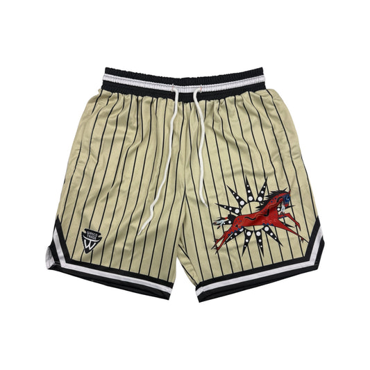 Heavy Ledger Pinstripe Gym Shorts - Indigenous War Pony Design by Wasco Trade