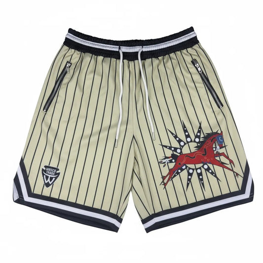 Heavy Ledger Pinstripe Gym Shorts - Indigenous War Pony Design by Wasco Trade